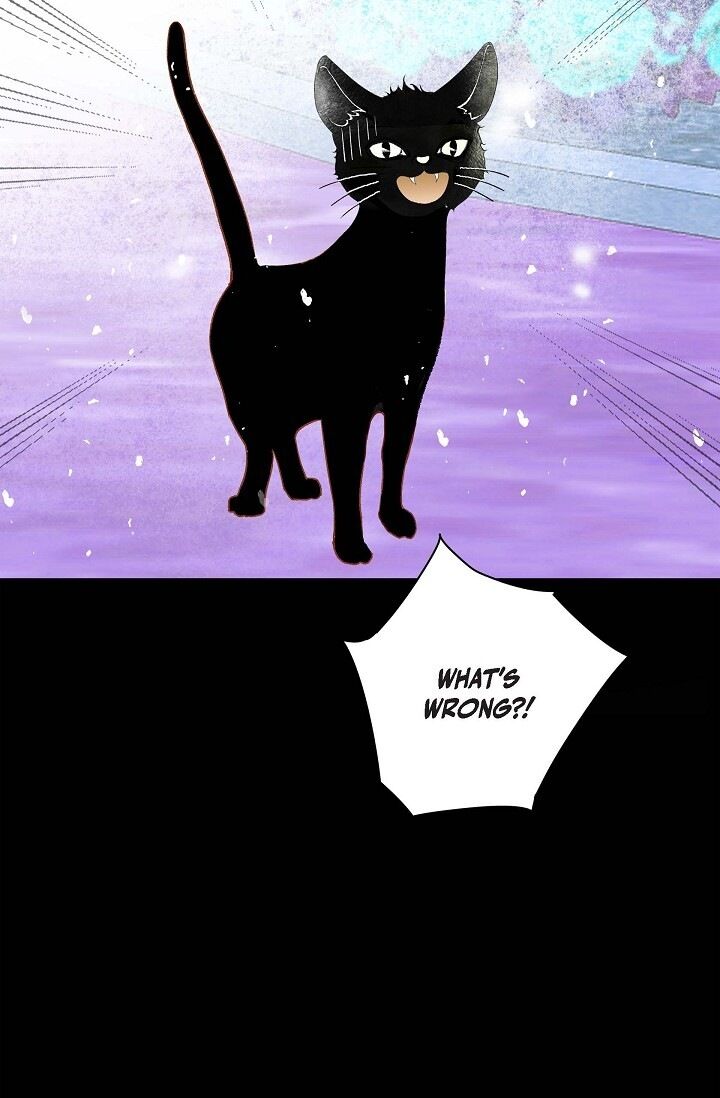 Page 7 of Chapter 33