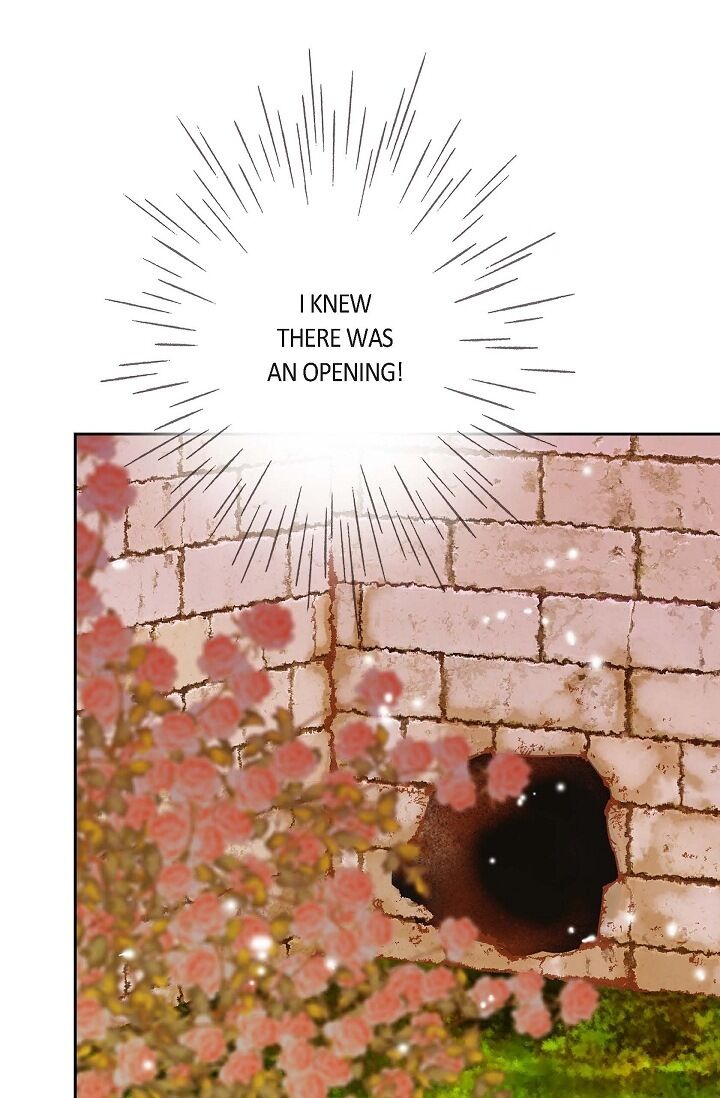 Page 29 of Chapter 34