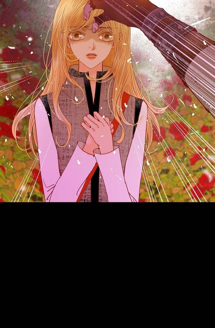 Page 95 of Chapter 35