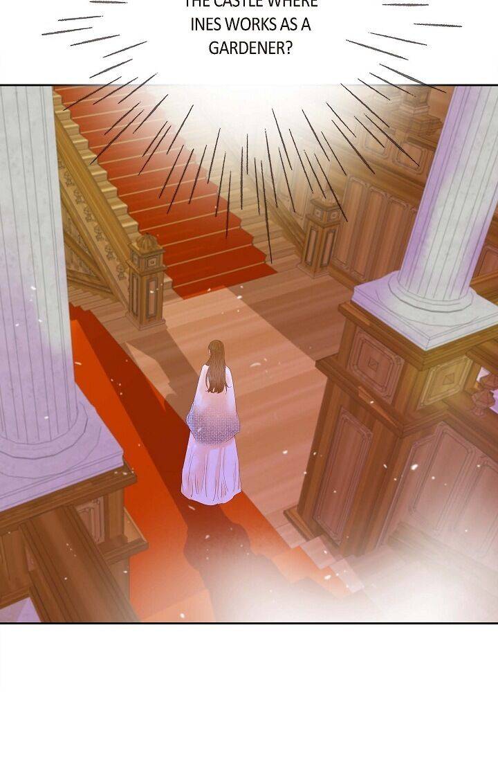 Page 19 of Chapter 38