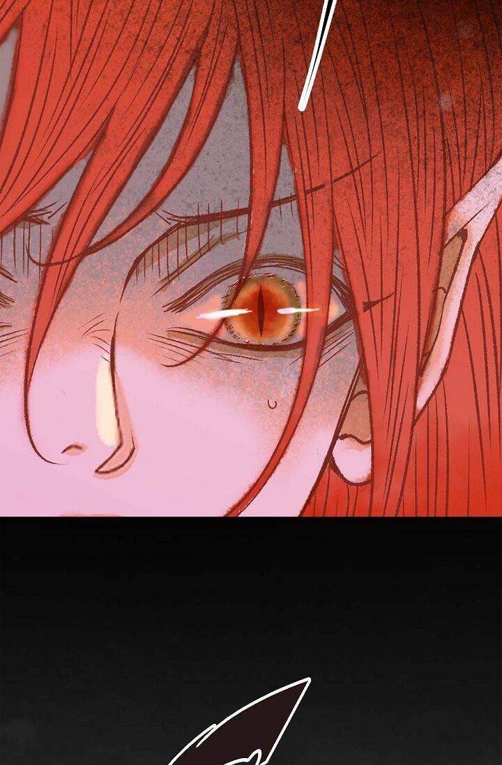 Page 97 of Chapter 38
