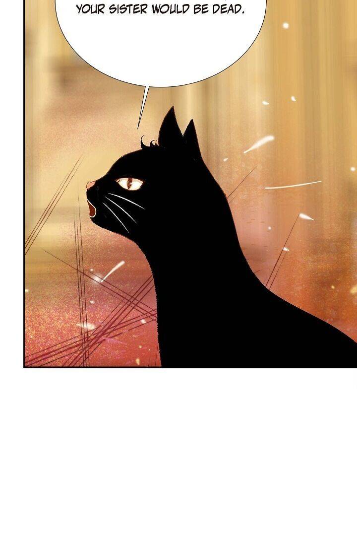 Page 94 of Chapter 39
