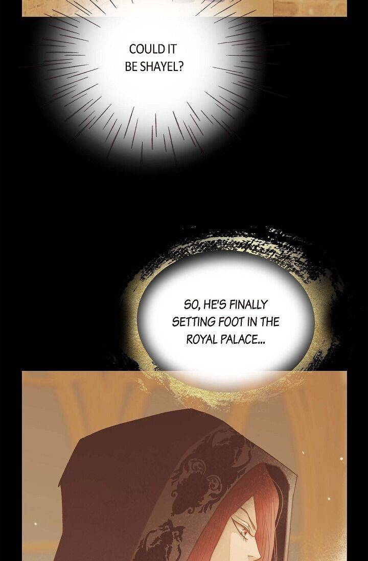 Page 17 of Chapter 41