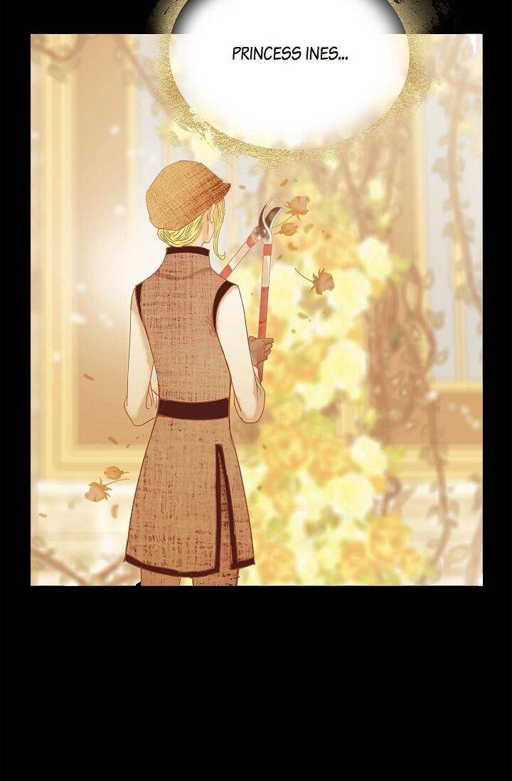 Page 19 of Chapter 41