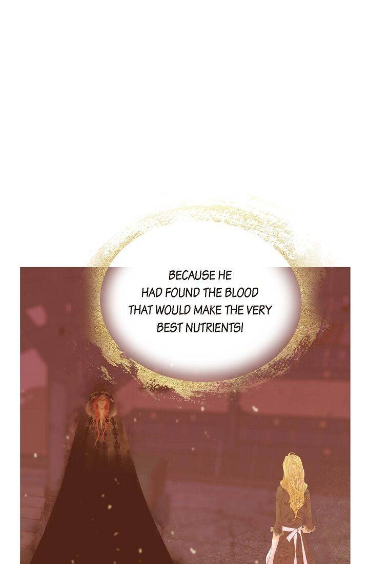 Page 28 of Chapter 42