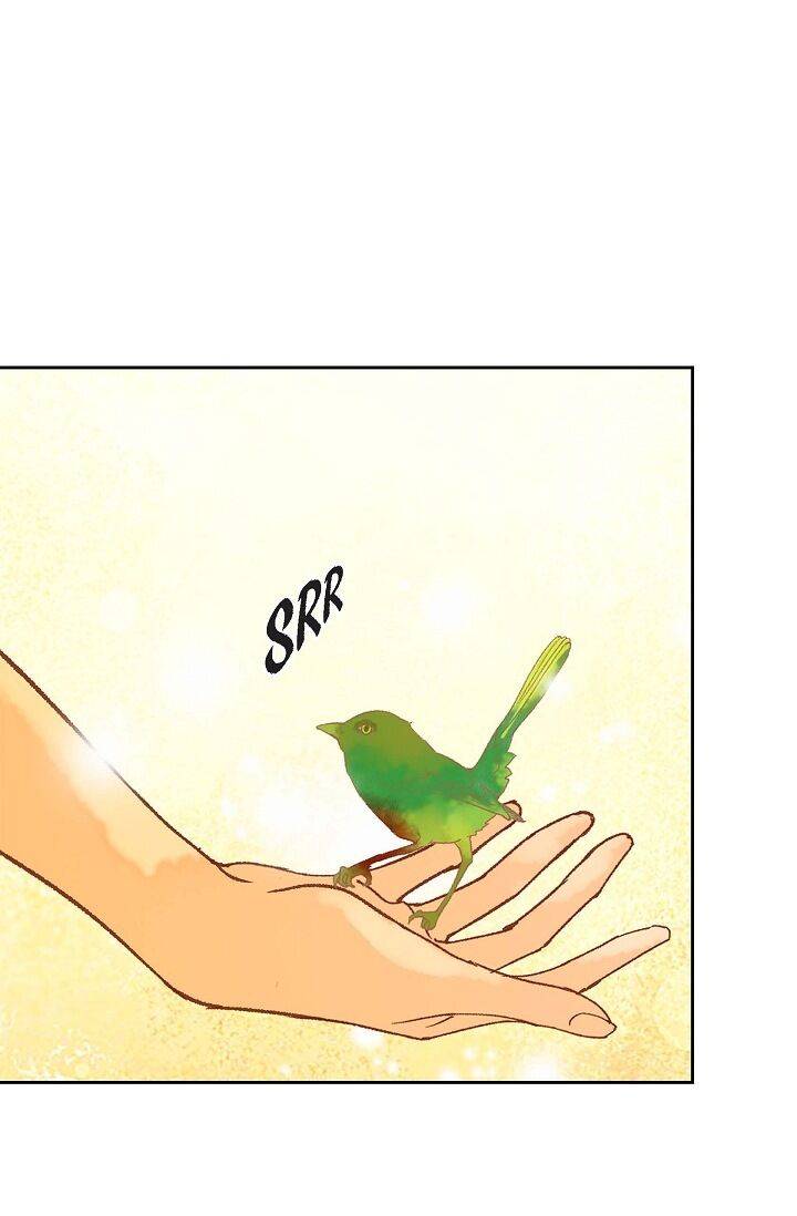 Page 91 of Chapter 49