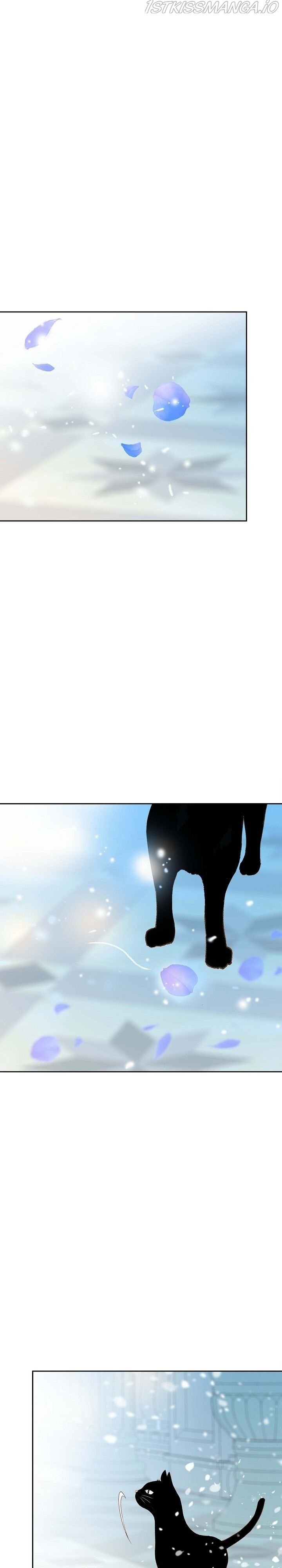 Page 41 of Chapter 50