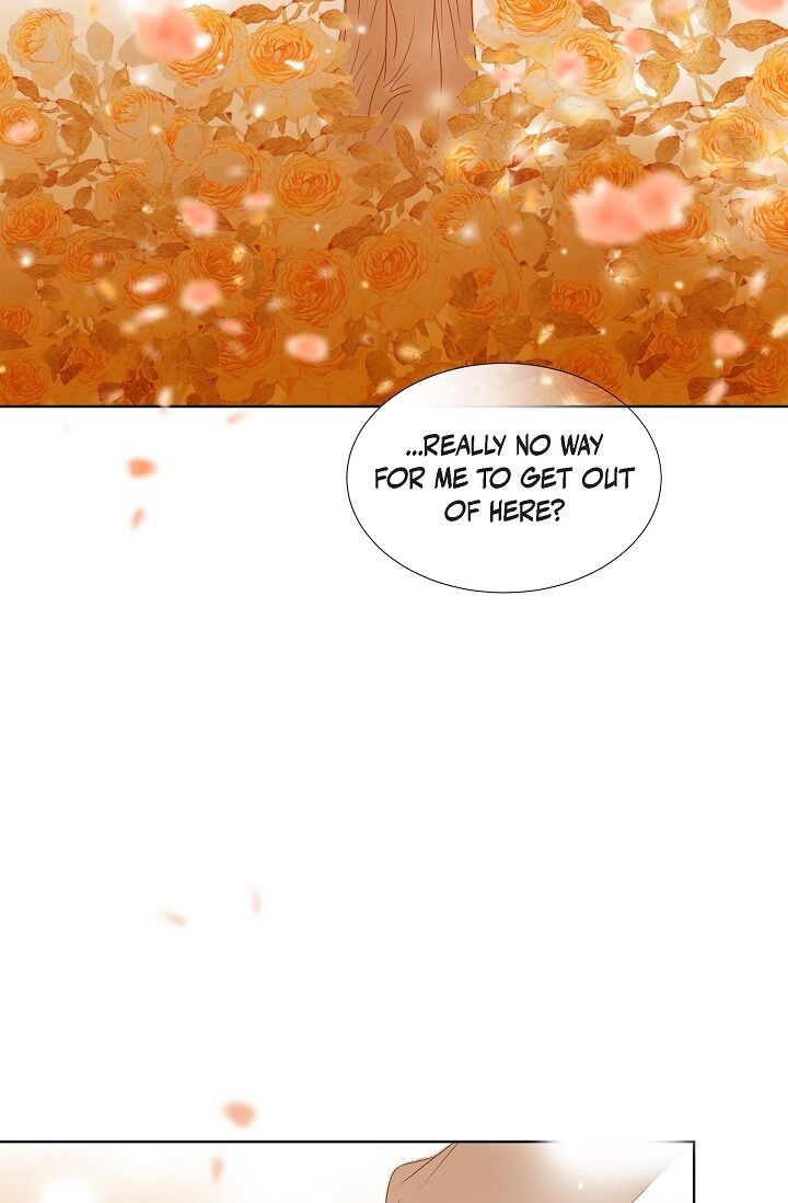 Page 91 of Chapter 6