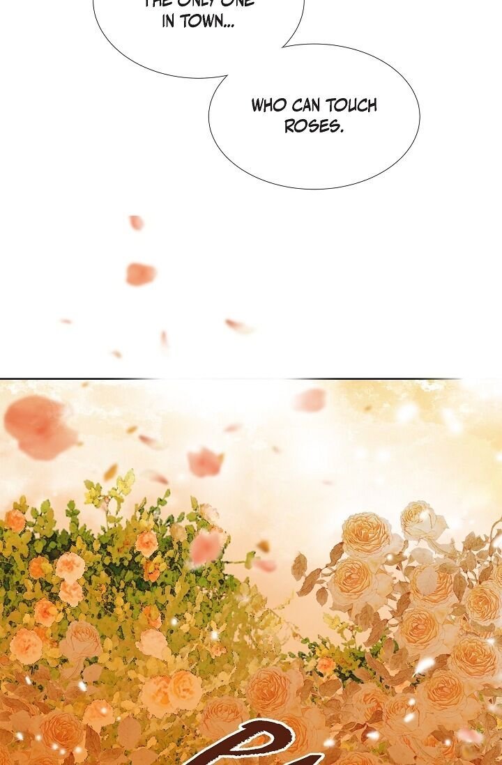 Page 19 of Chapter 7