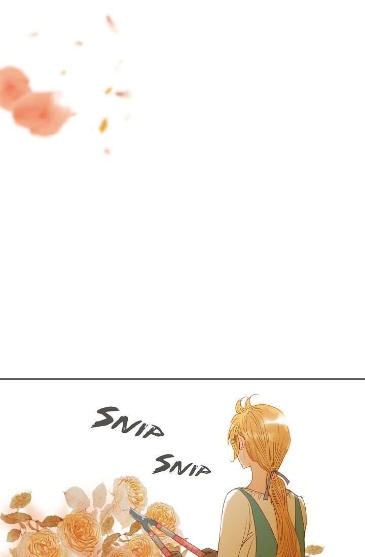 Page 41 of Chapter 8