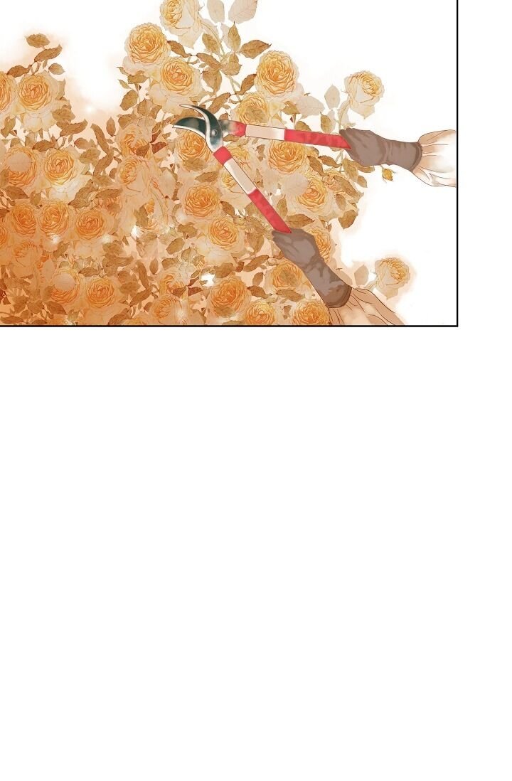 Page 43 of Chapter 8