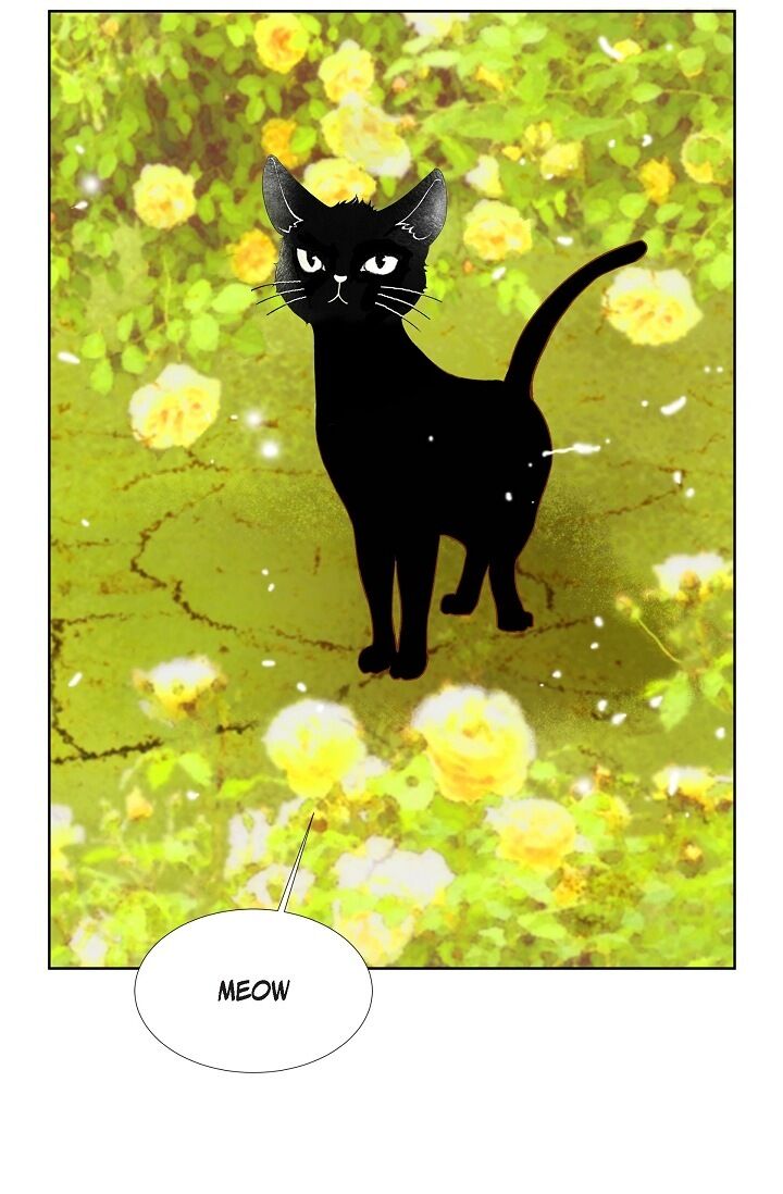 Page 50 of Chapter 9