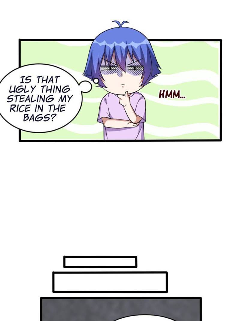 Page 43 of Chapter 114