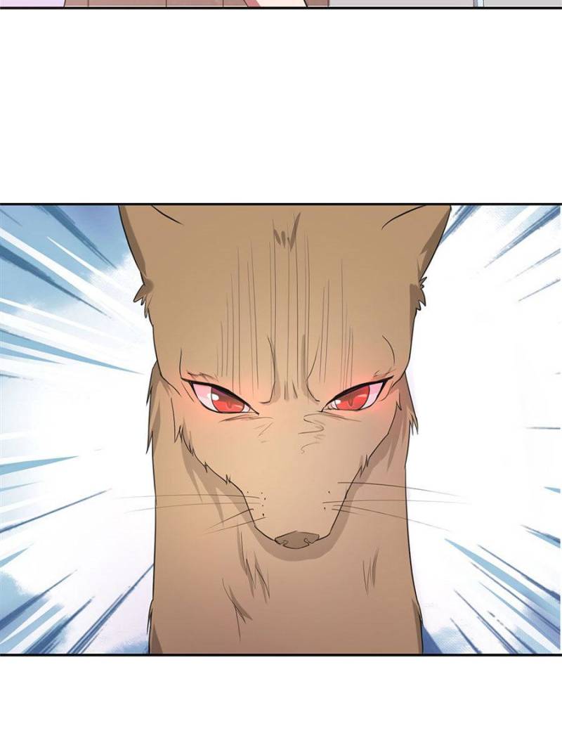 Page 43 of Chapter 77