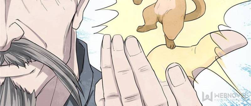 Page 21 of Chapter 79
