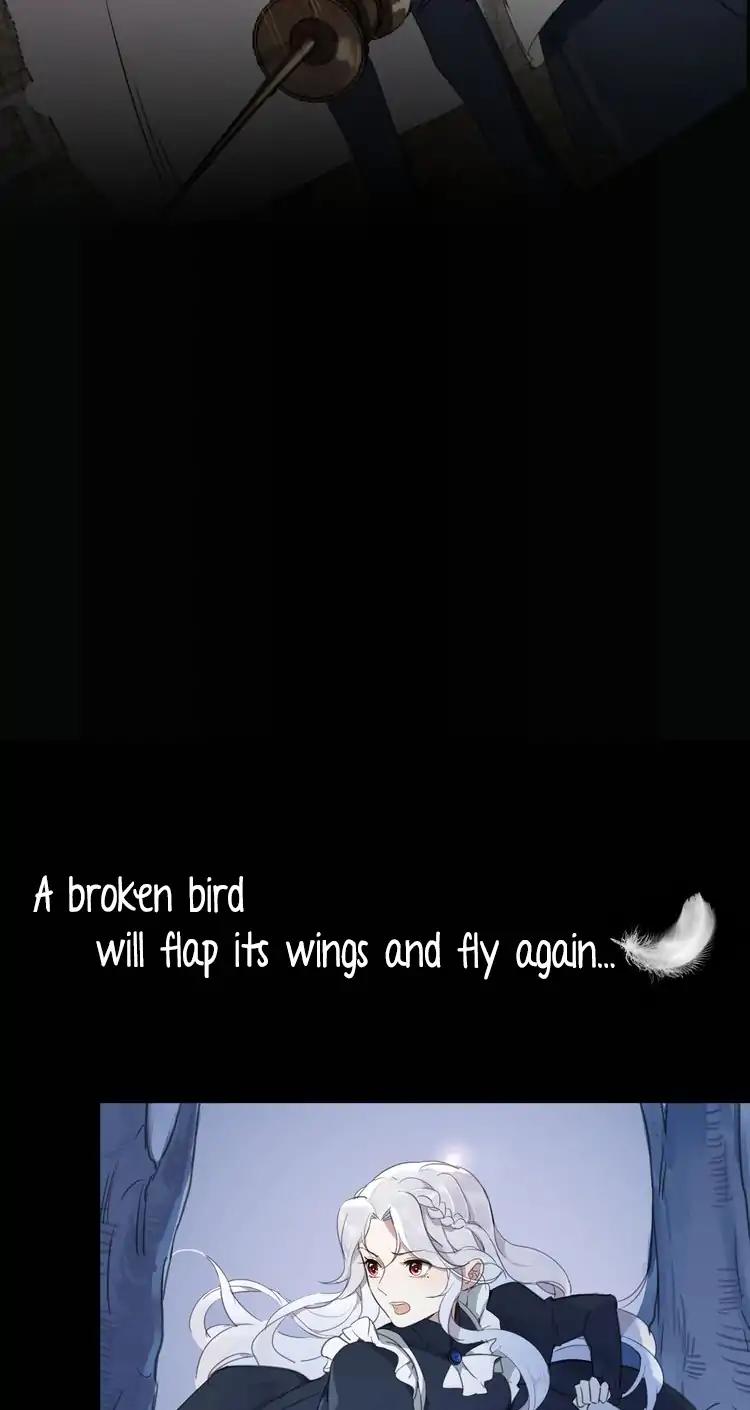 Page 16 of Chapter 0