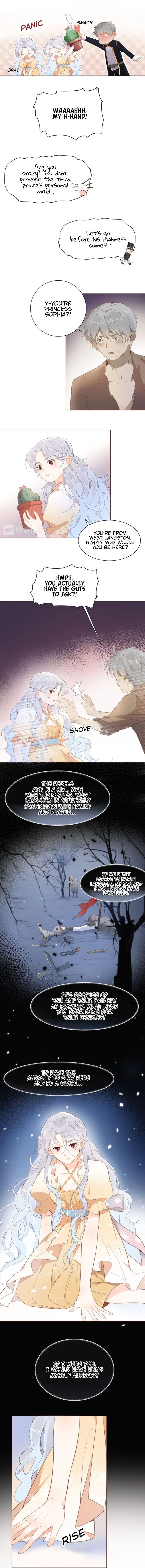 Page 7 of Chapter 14