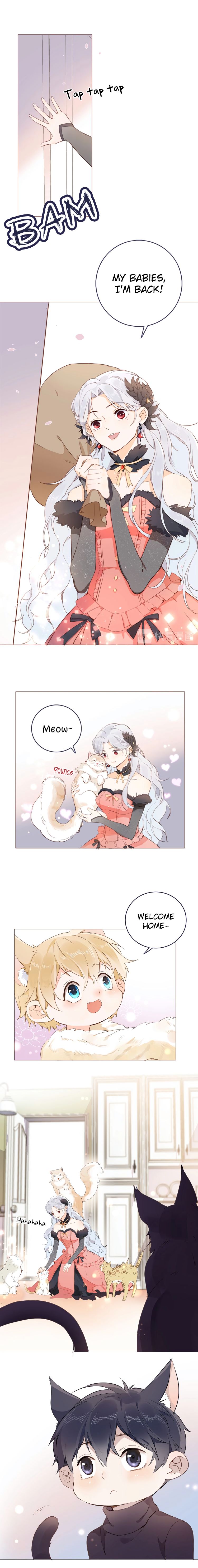Page 3 of Chapter 14.5