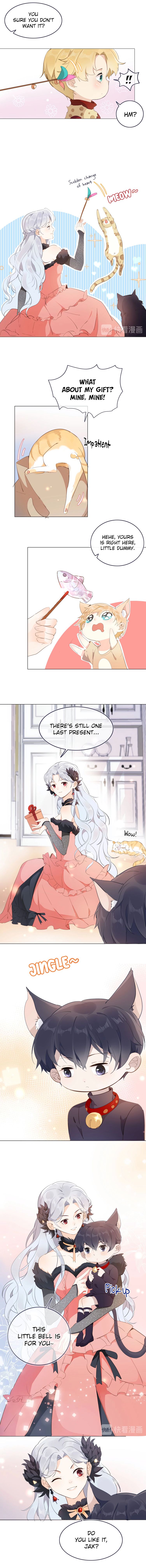 Page 5 of Chapter 14.5