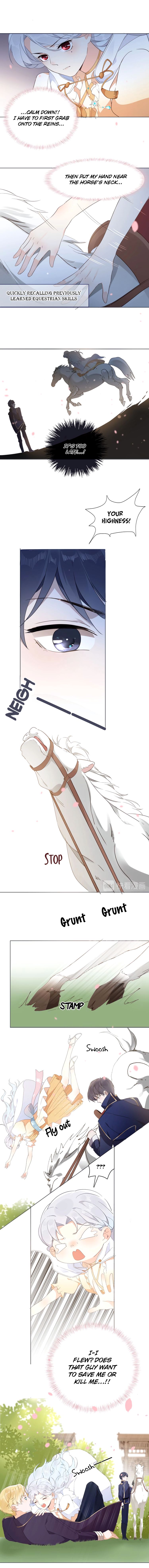 Page 8 of Chapter 15