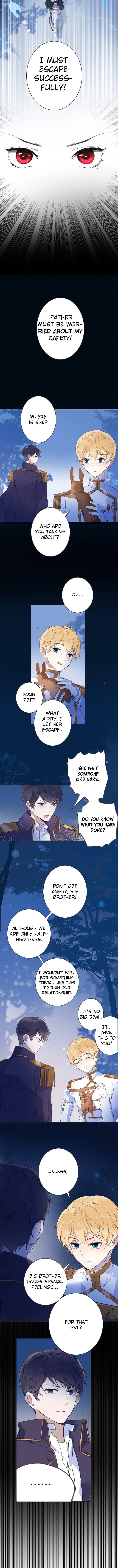 Page 7 of Chapter 3
