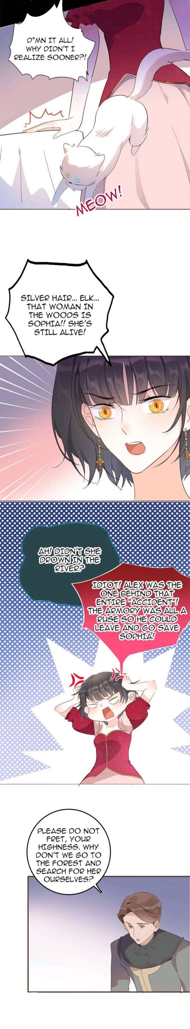 Page 17 of Chapter 33