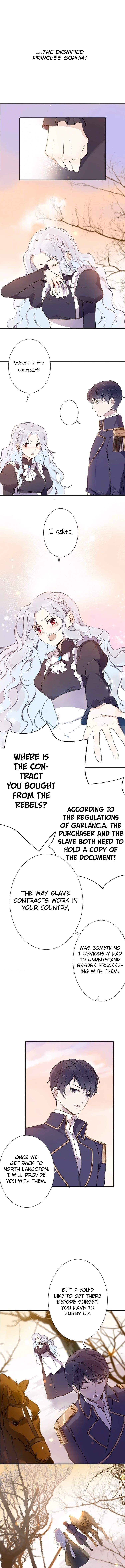 Page 13 of Chapter 4