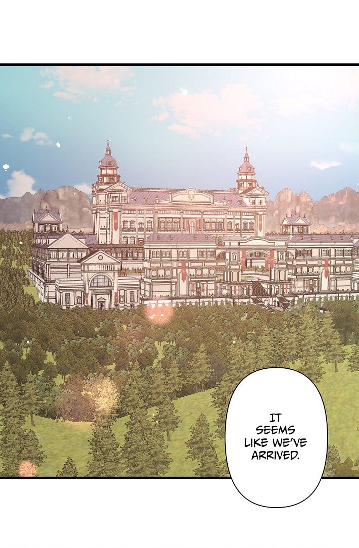 Page 3 of Chapter 38