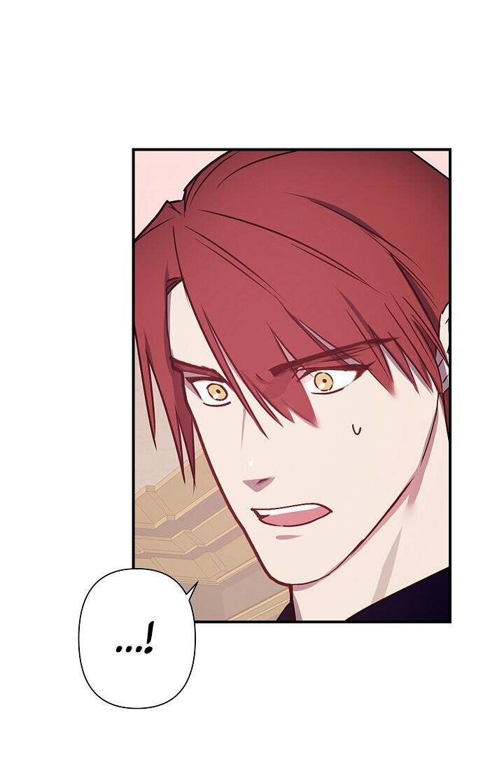 Page 23 of Chapter 48
