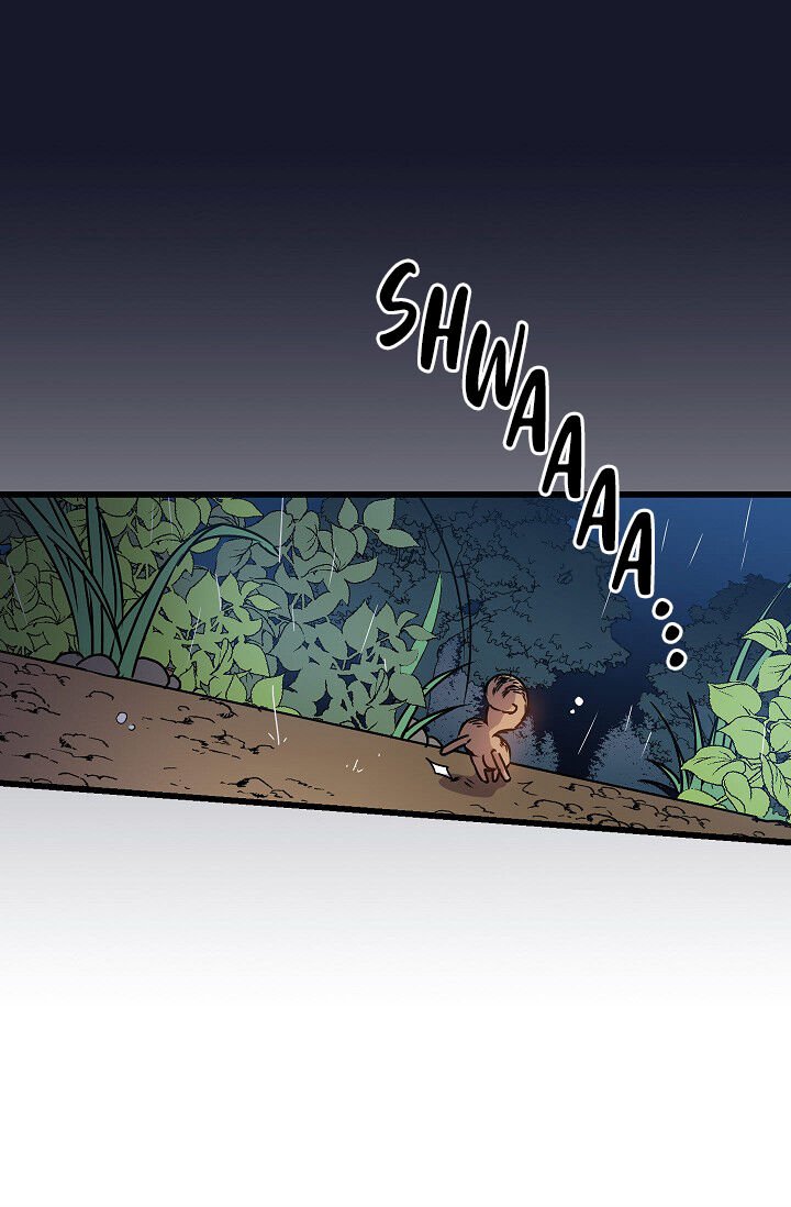 Page 19 of Chapter 8