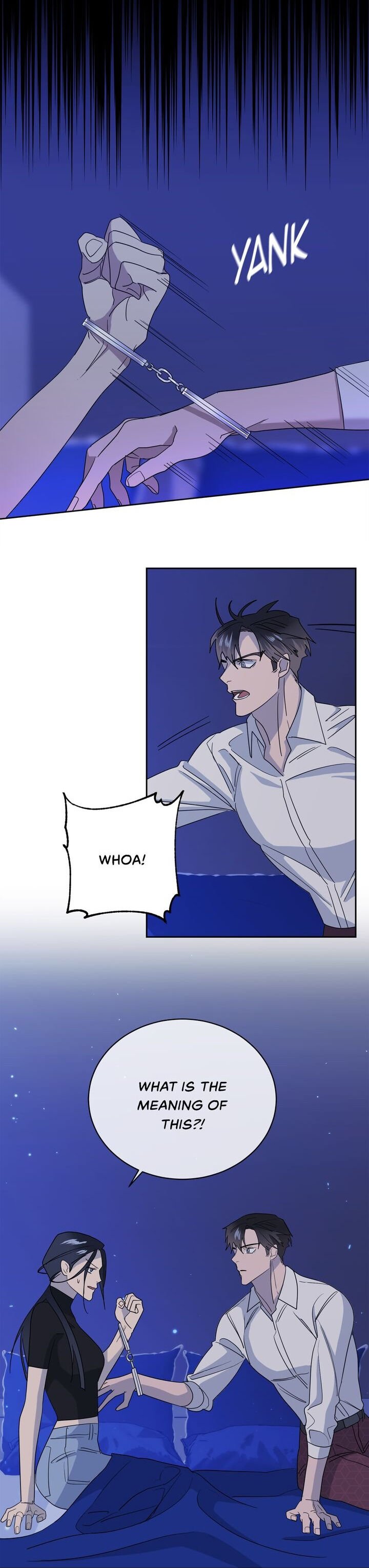 Page 4 of Chapter 22