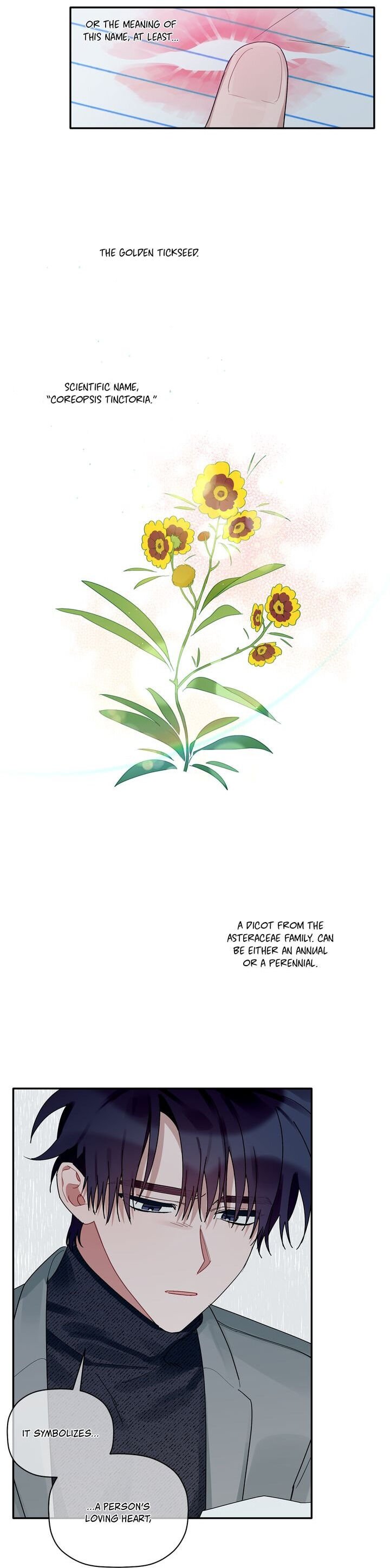 Page 15 of Chapter 31