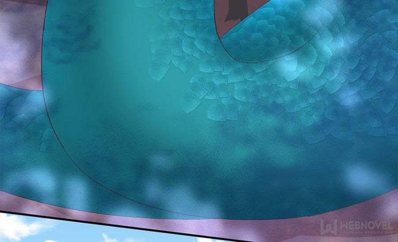 Page 3 of Chapter 41