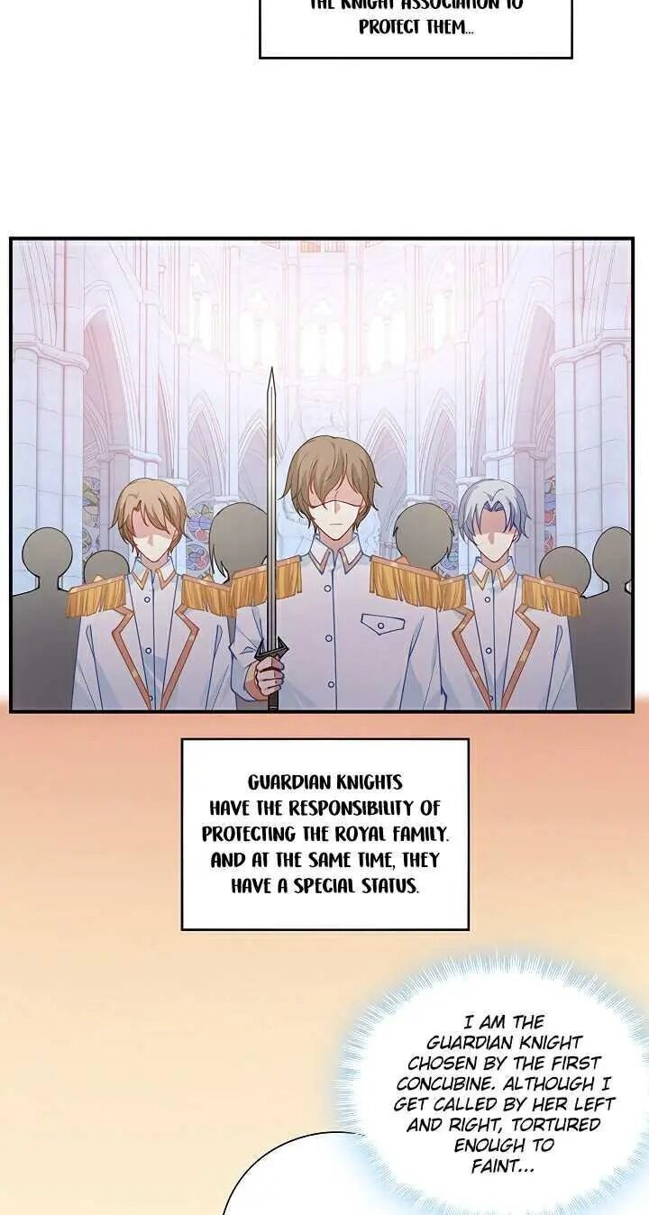 Page 5 of Chapter 7