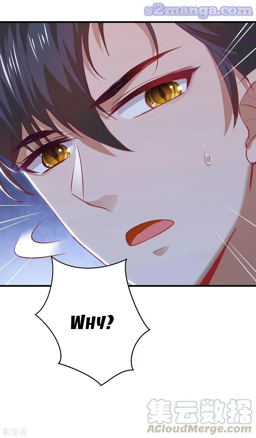 Page 13 of Chapter 195