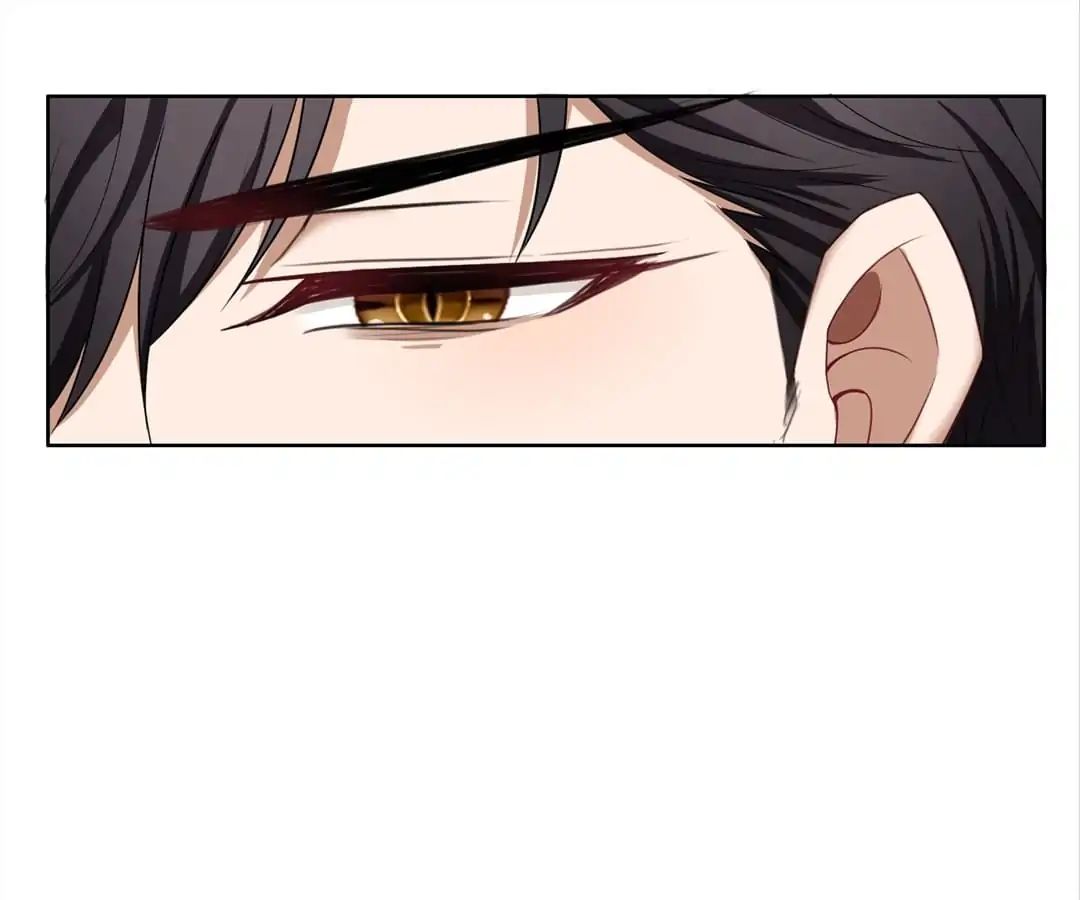 Page 41 of Chapter 38