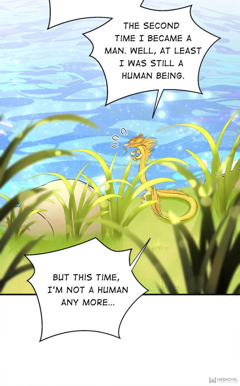 Page 13 of Chapter 66
