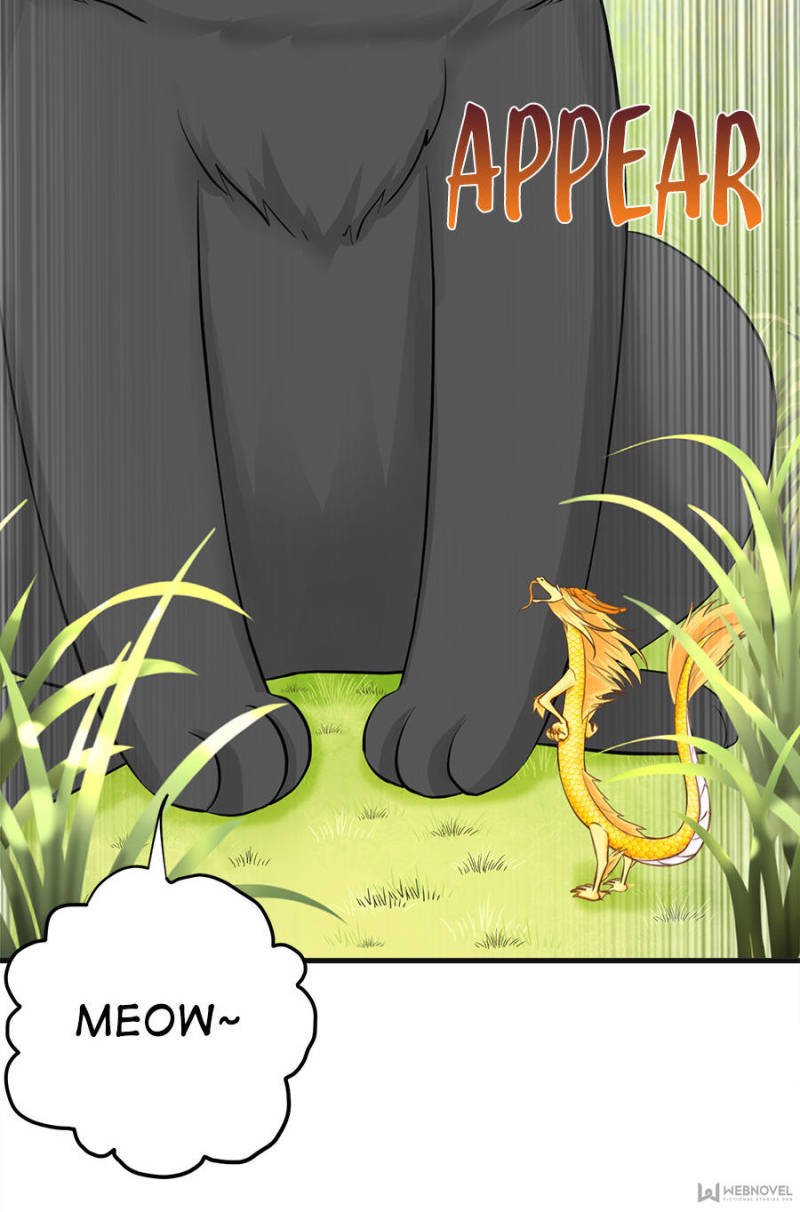 Page 17 of Chapter 66