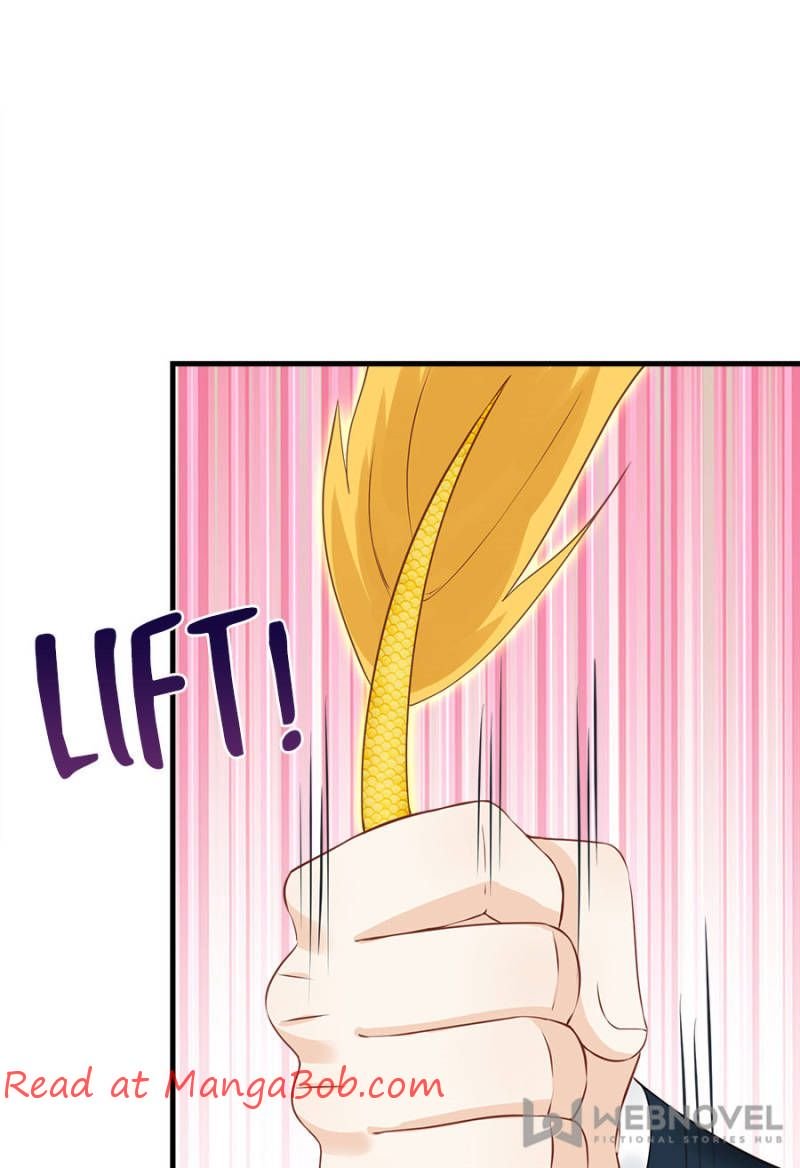 Page 26 of Chapter 68