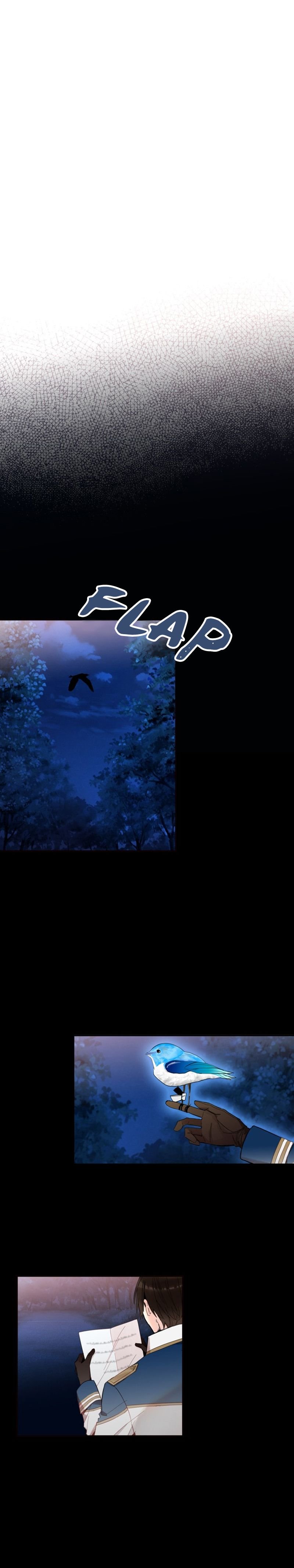 Page 19 of Chapter 11