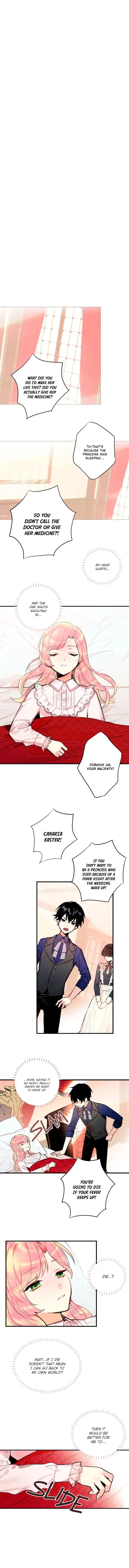 Page 8 of Chapter 2