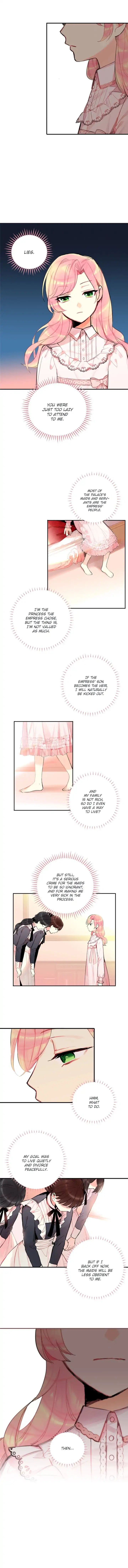 Page 5 of Chapter 3