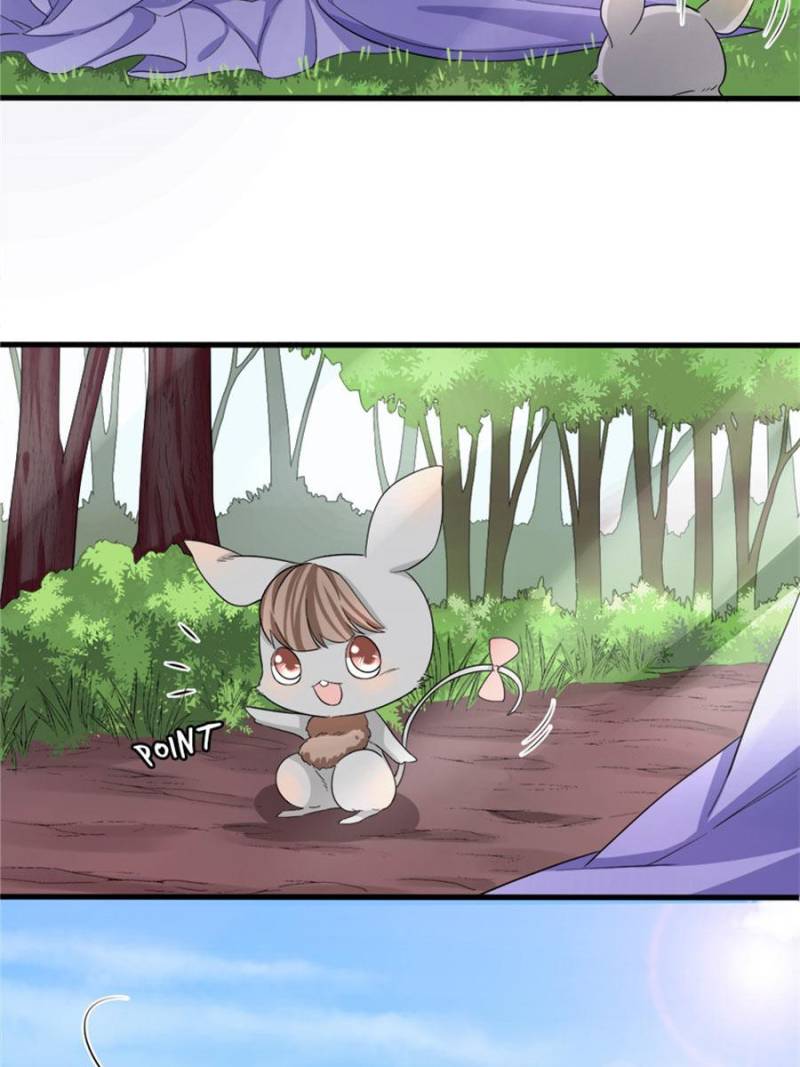 Page 31 of Chapter 84