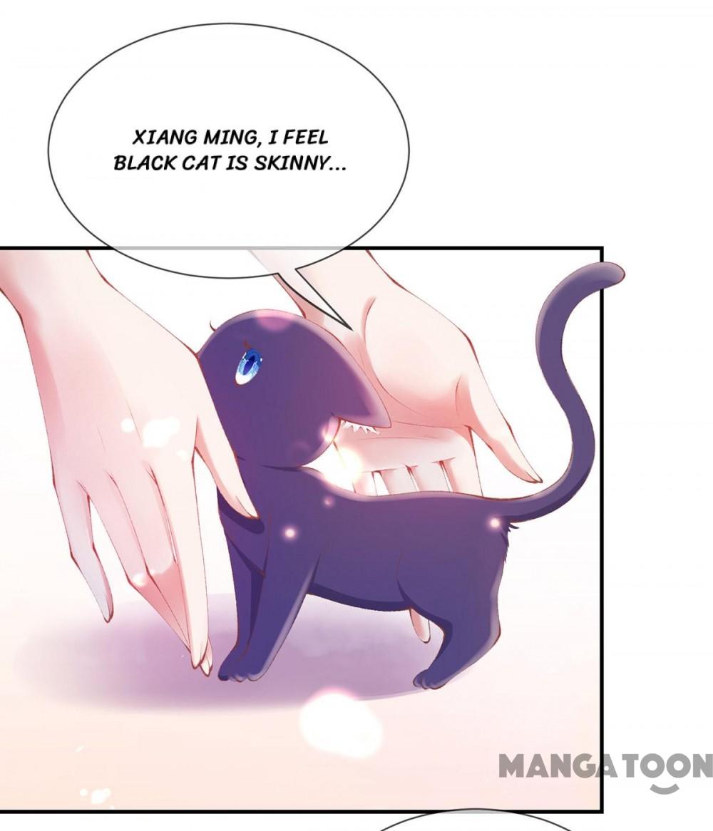 Page 3 of Chapter 19