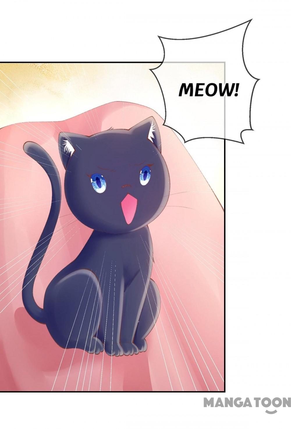 Page 14 of Chapter 19