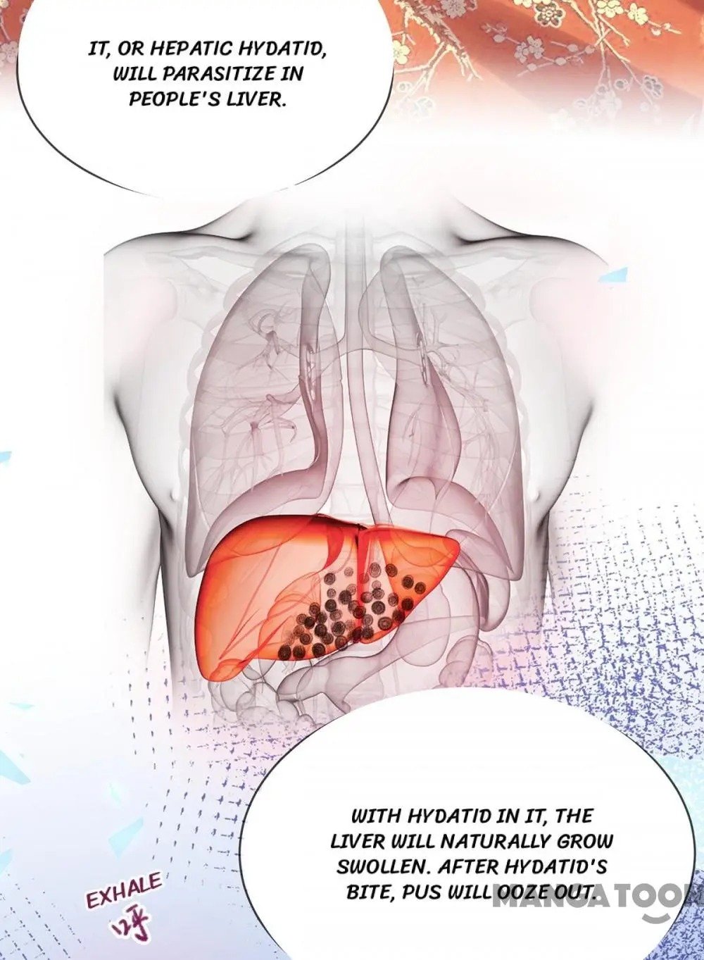 Page 28 of Chapter 37