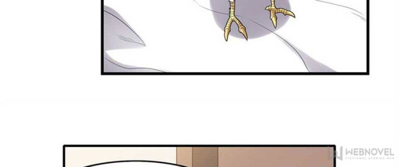 Page 21 of Chapter 146