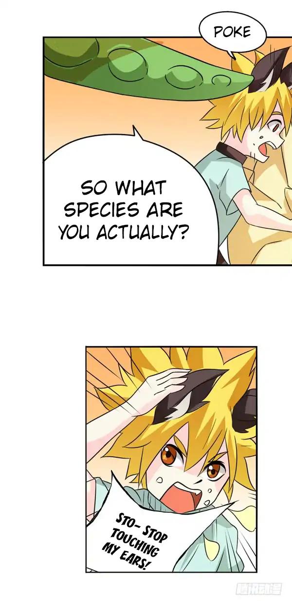Page 31 of Chapter 24