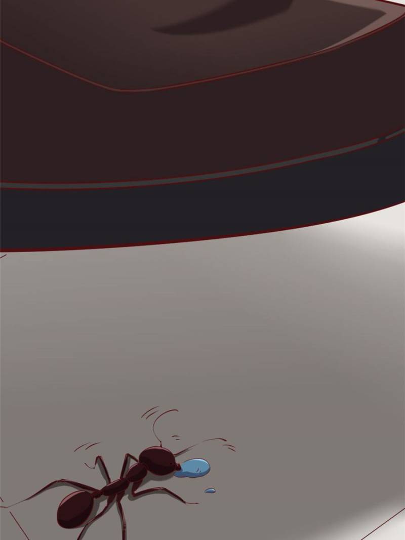 Page 17 of Chapter 71