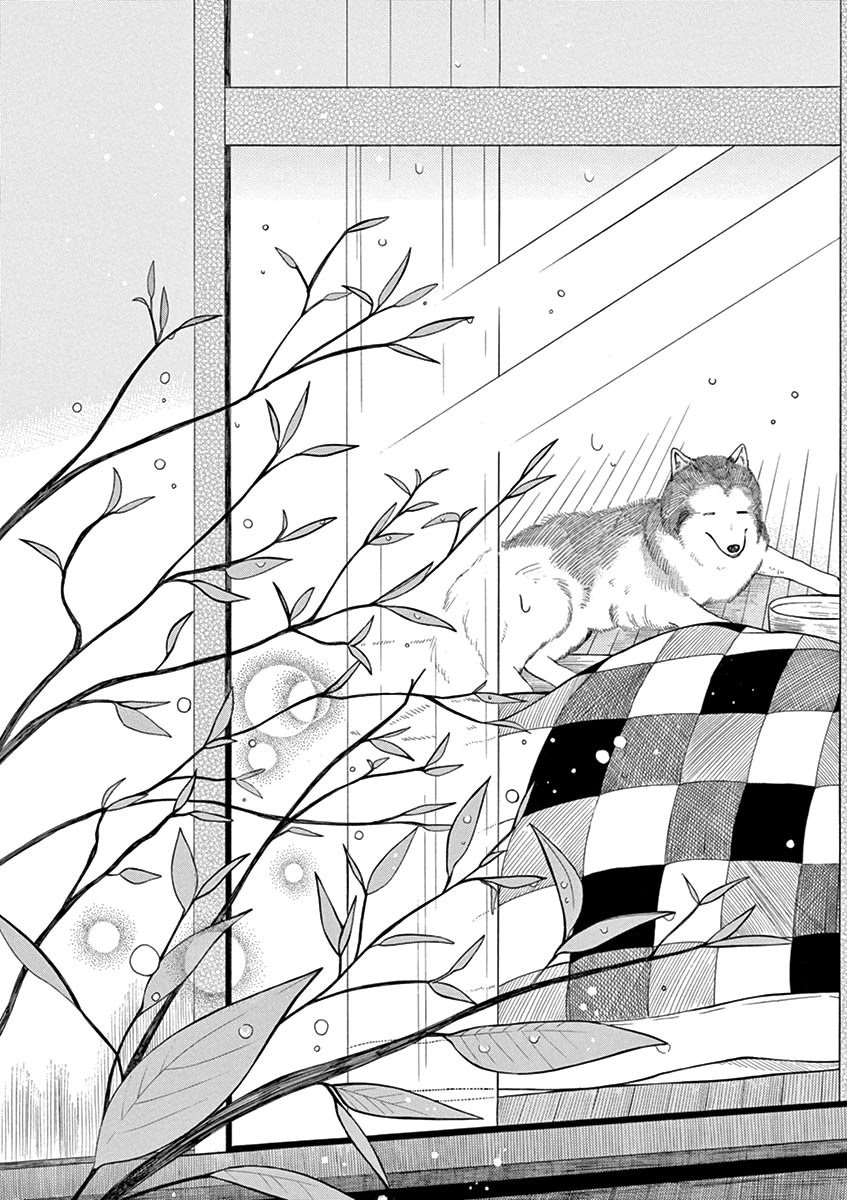 Page 19 of Chapter 7